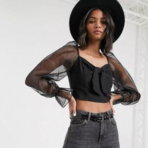 TOPSHOP Black Sheer Organza
Long Sleeve Blouse